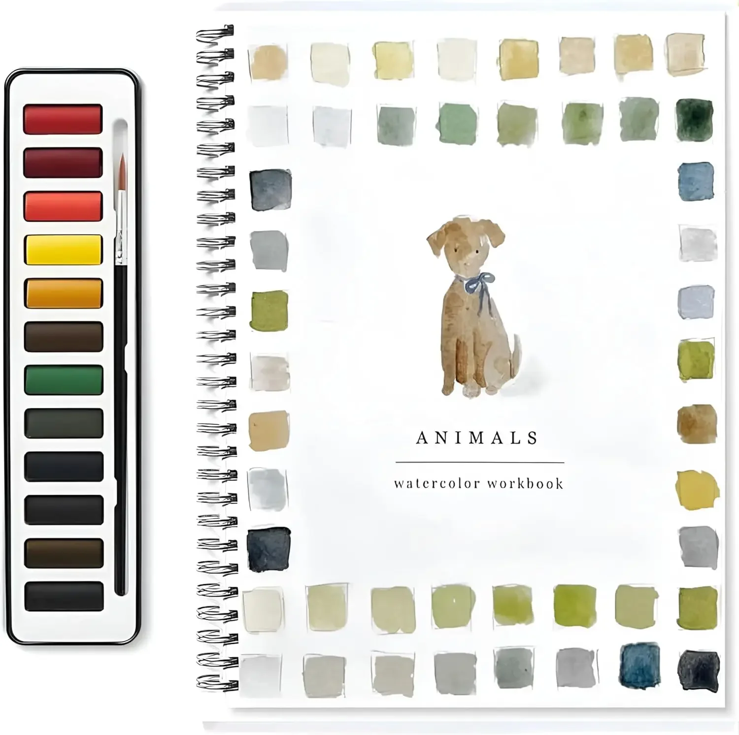 Watercolor Paint Set