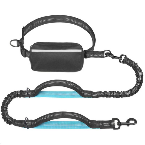 Hands Free Bungee Dog Leash